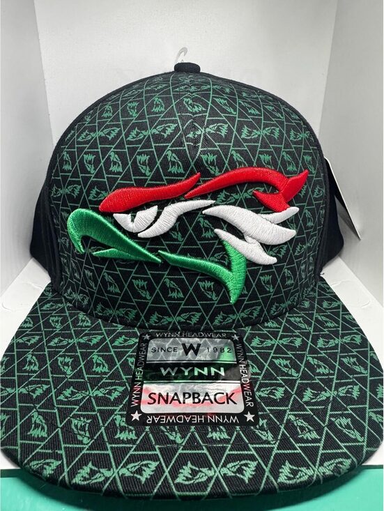 Other - Wynn Headwear Mexico Wing Logo Pattern Snapback Hat Black Green